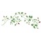 Small Rosebud Vine Wall Stencil | 1873 by Designer Stencils | Floral Stencils | Reusable Art Craft Stencils for Painting on Walls, Canvas, Wood | Reusable Plastic Paint Stencil for Home Makeover | Easy to Use & Clean Art Stencil